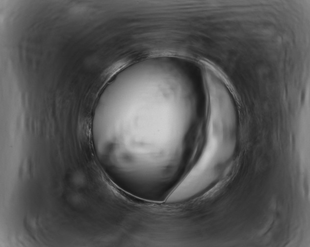 X0000086730809200704130745