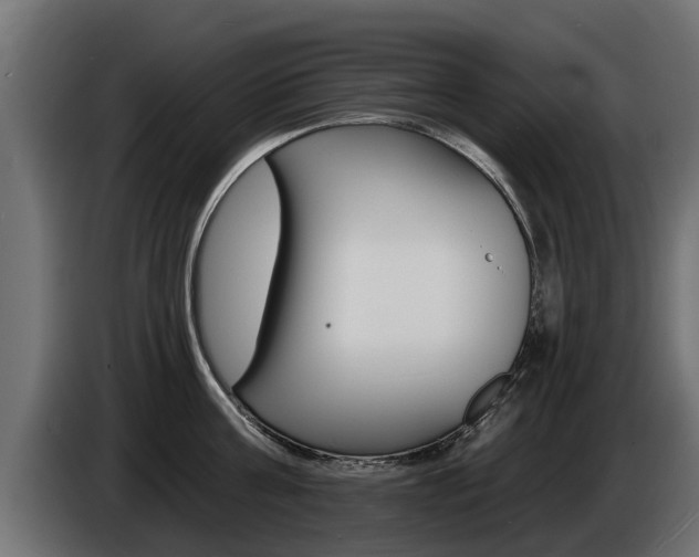 X0000086730811200704130745