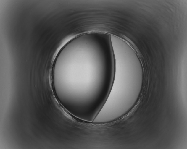X0000086730812200704130745