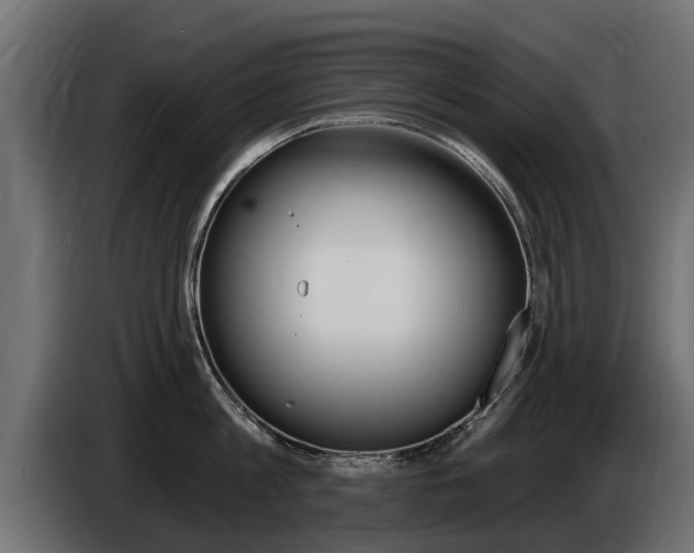 X0000086730813200704130745