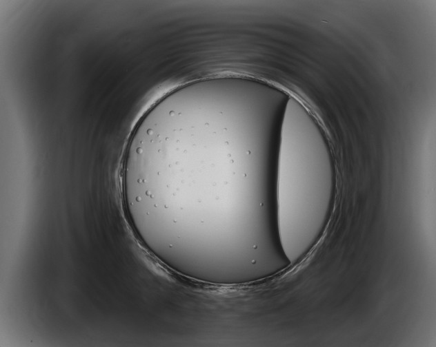 X0000086730814200704130745