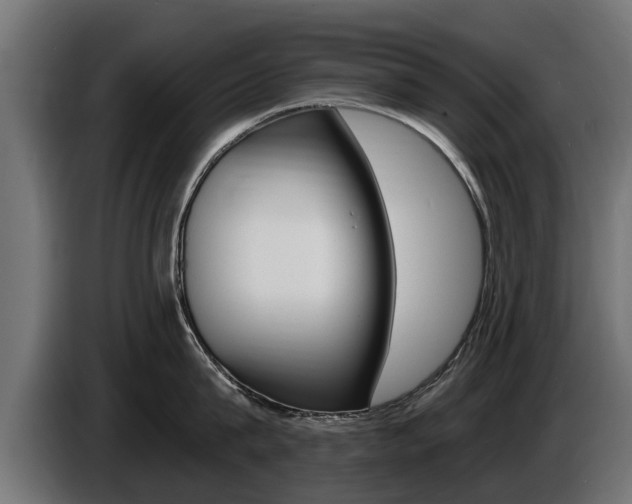 X0000086730815200704130745