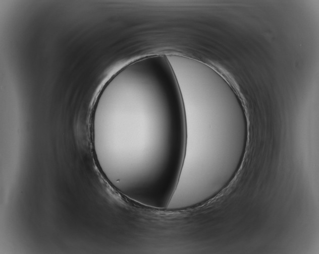 X0000086730816200704130745