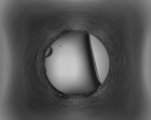 X0000086730817200704130745