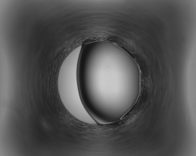 X0000086730818200704130745