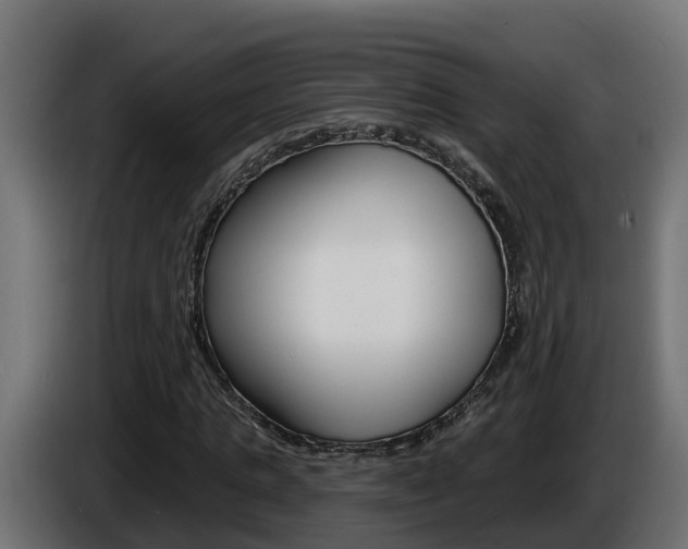 X0000086730821200704130745