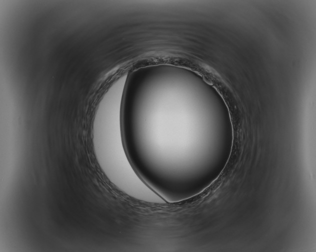 X0000086730822200704130745