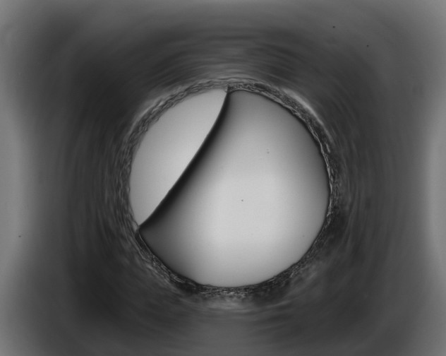 X0000086730823200704130745