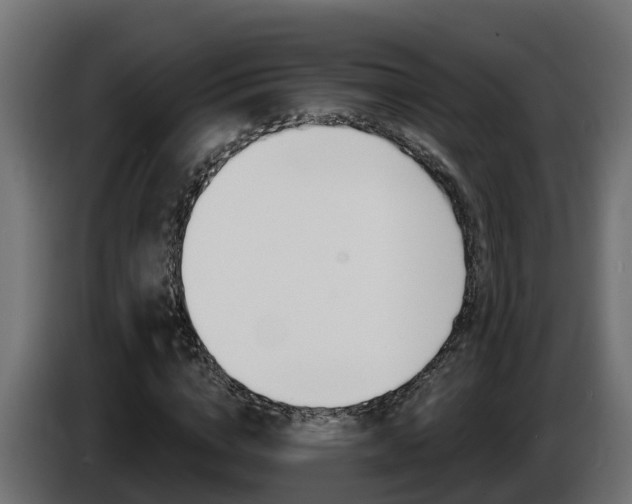 X0000086730824200704130745