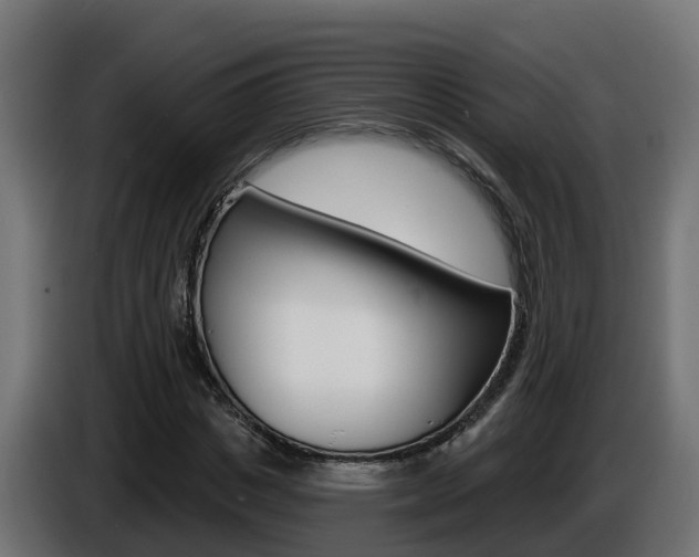 X0000086730825200704130745