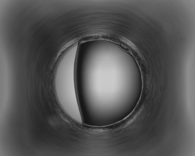 X0000086730826200704130745