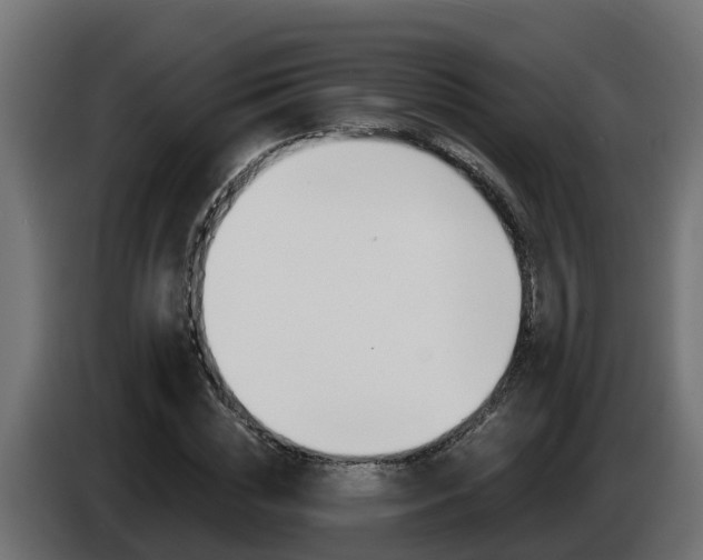 X0000086730828200704130745