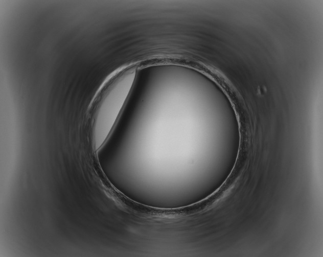 X0000086730830200704130745