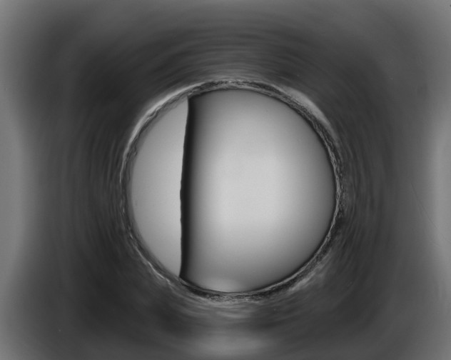 X0000086730831200704130745