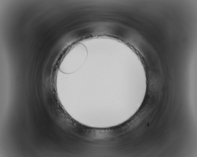 X0000086730832200704130745