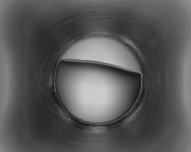 X0000086730833200704130745