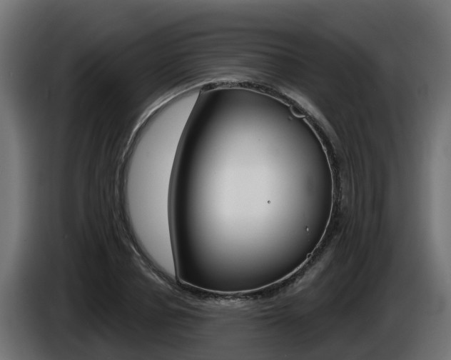 X0000086730834200704130745
