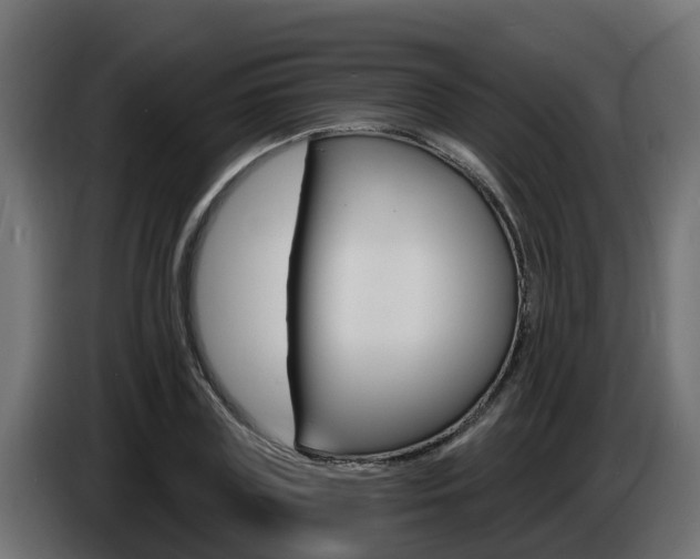 X0000086730835200704130745