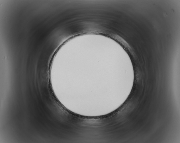 X0000086730836200704130745
