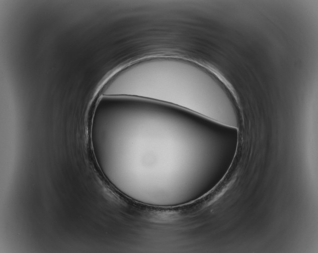 X0000086730837200704130745
