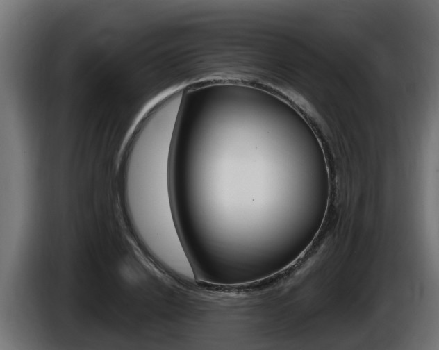 X0000086730838200704130745
