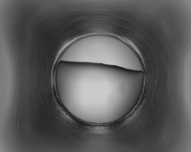 X0000086730839200704130745