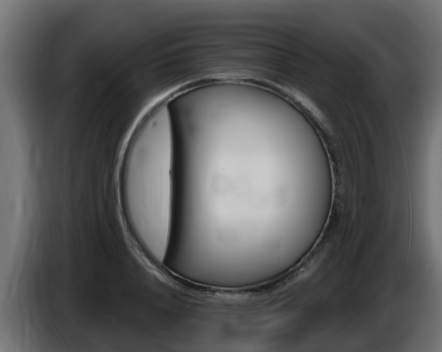 X0000086730840200704130745