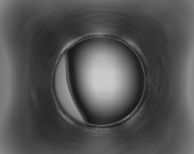 X0000086730842200704130745