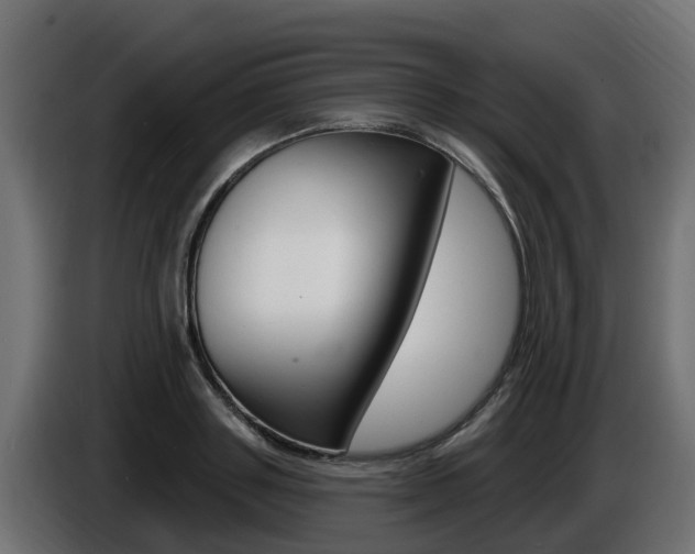 X0000086730843200704130745