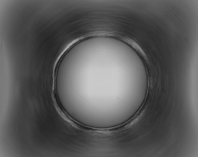 X0000086730844200704130745