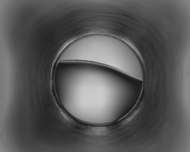 X0000086730845200704130745