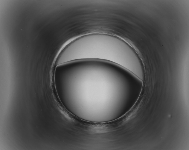 X0000086730846200704130745