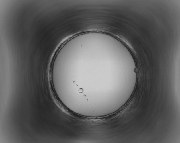 X0000086730848200704130745