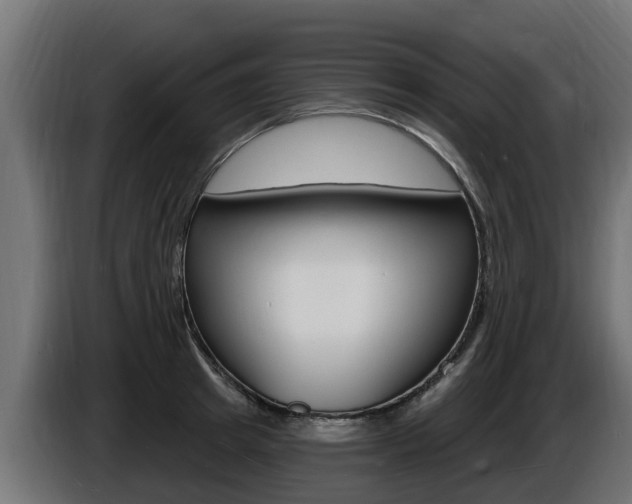 X0000086730849200704130745