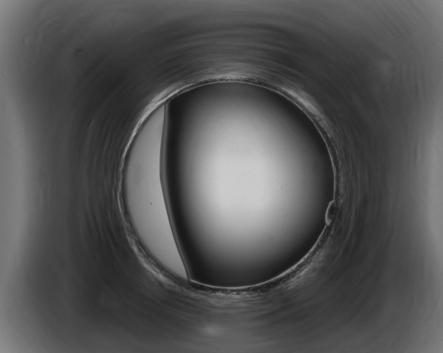 X0000086730850200704130745