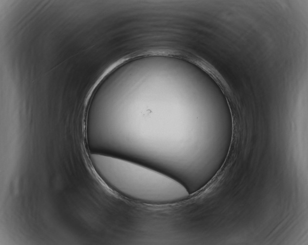X0000086730852200704130745