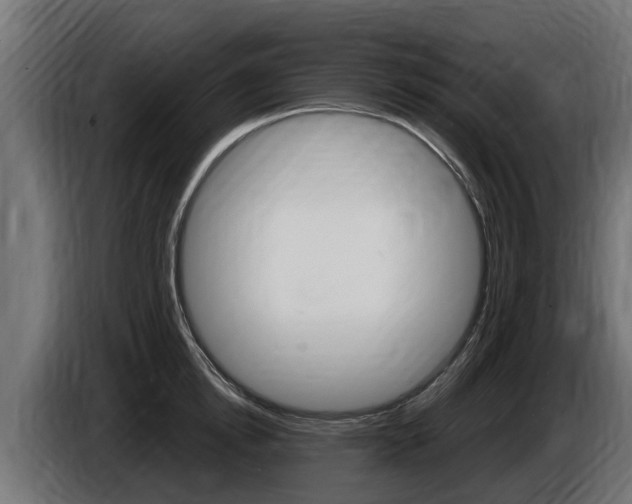 X0000086730854200704130745