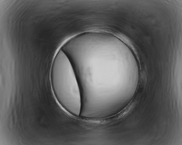 X0000086730855200704130745