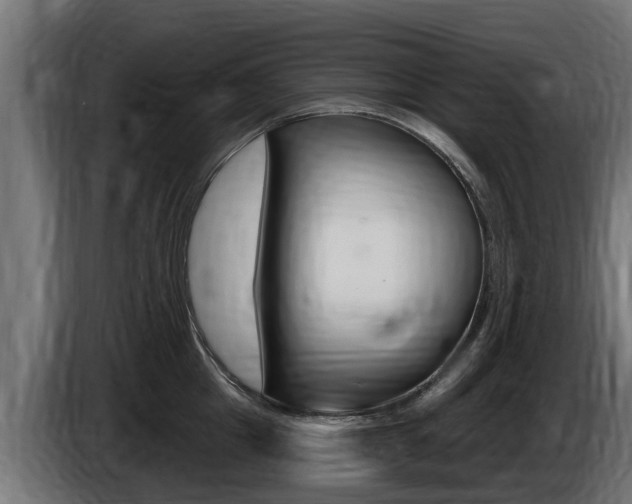 X0000086730857200704130745