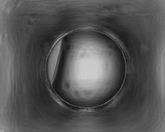 X0000086730858200704130745