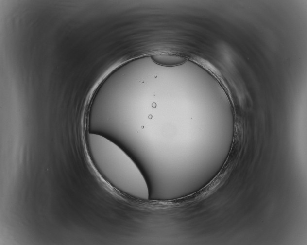 X0000086730859200704130745