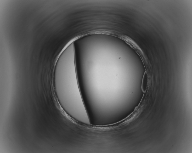 X0000086730860200704130745