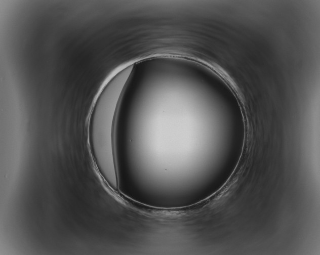 X0000086730862200704130745