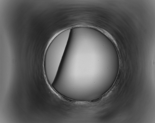 X0000086730863200704130745