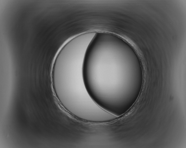 X0000086730864200704130745
