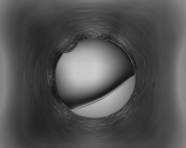 X0000086730867200704130745
