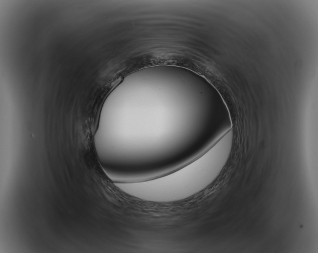 X0000086730868200704130745