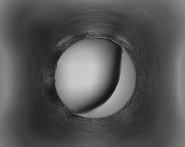 X0000086730869200704130745