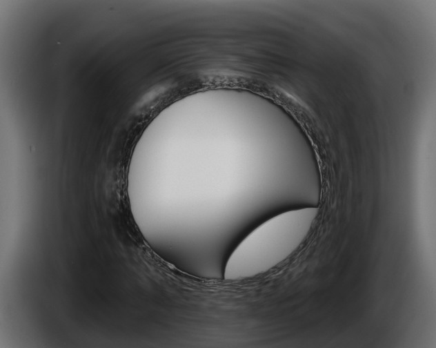 X0000086730870200704130745