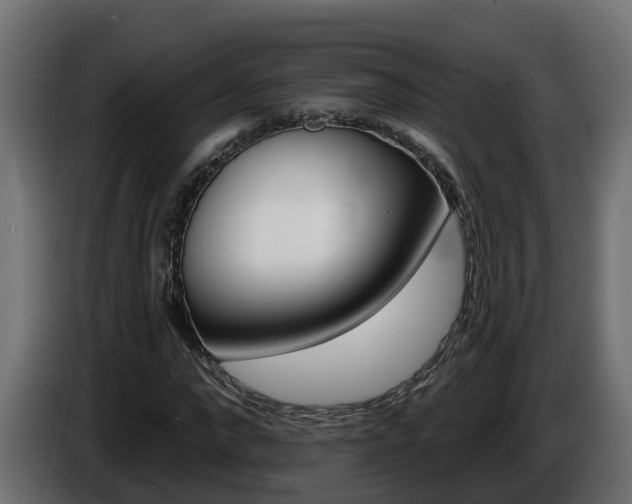 X0000086730872200704130745